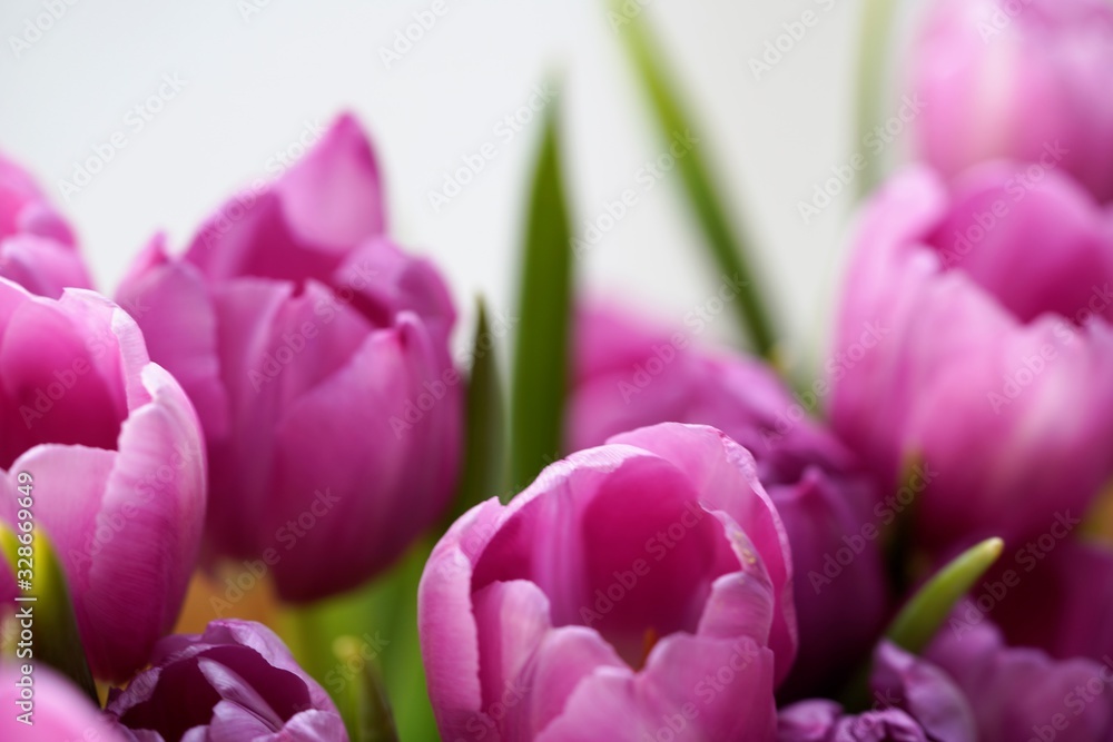Obraz premium bouquet of pink tulips