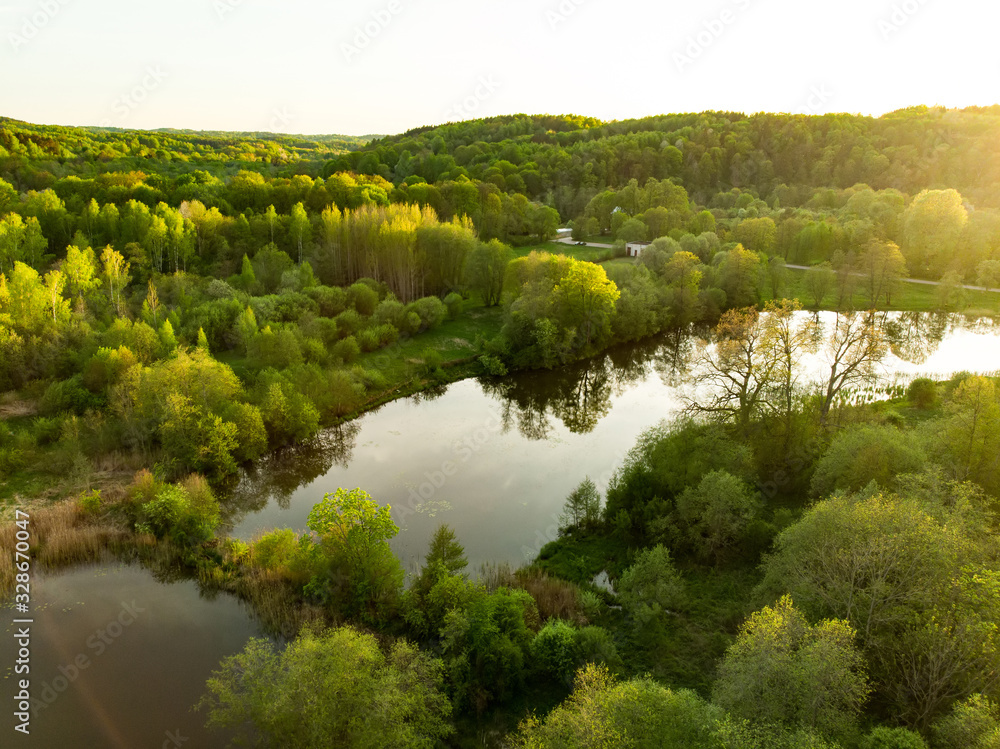 Beautiful aerial forest scene in summer. Green trees and river on sunny summer day.