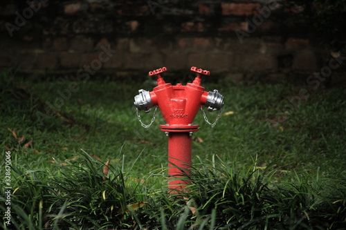 red fire hydrant in the garden