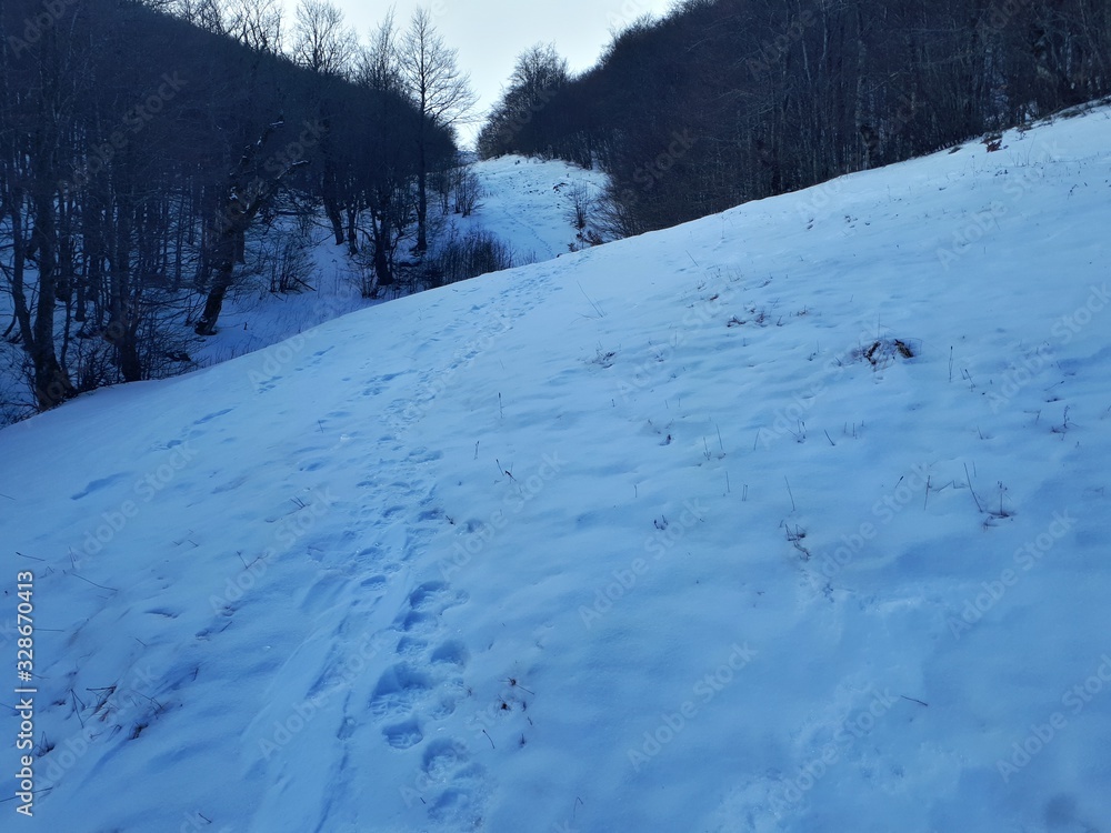 Olympic mountain covered with snow