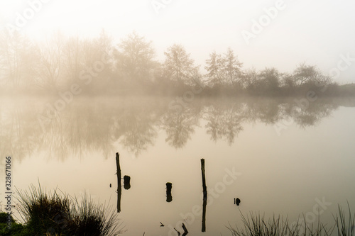 Piquets d'ancrage sur la rivière dans la brume photo