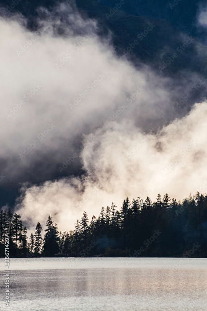 Beautiful silhouettes of pointy fir tops on hillside along mountain lake in dense fog. Coniferous trees above shiny calm water. Alpine tranquil landscape at early morning. Ghostly atmospheric scenery. Beautiful silhouettes of pointy fir tops on hillside along mountain lake in dense fog. Coniferous trees above shiny calm water. Alpine tranquil landscape at early morning. Ghostly atmospheric scenery.