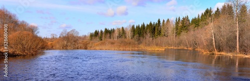 panorama spring forest on the background of the river and the sky