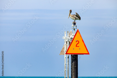 A pelican sits atop a channel marker on an overcast day.