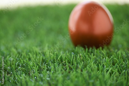 copper gold easter egg on lawn green grass
