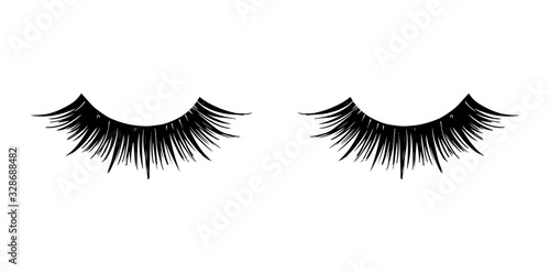 Long black lashes vector illustration. Beautiful Eyelashes isolated on white
