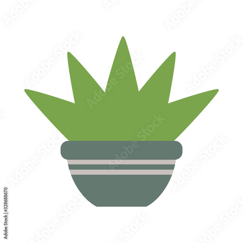 houseplant with potted on white background