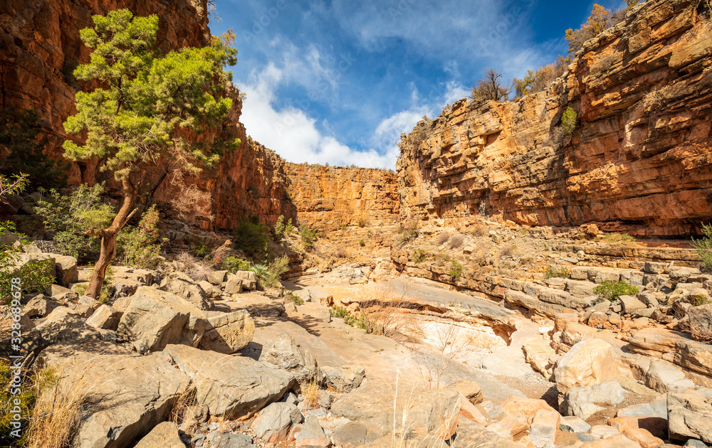 Fototapeta premium Rocky desert canyon