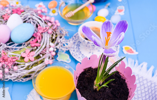 Crocus on the table with easter breakfast. Bright colors, painted eggs and decor. Copy space