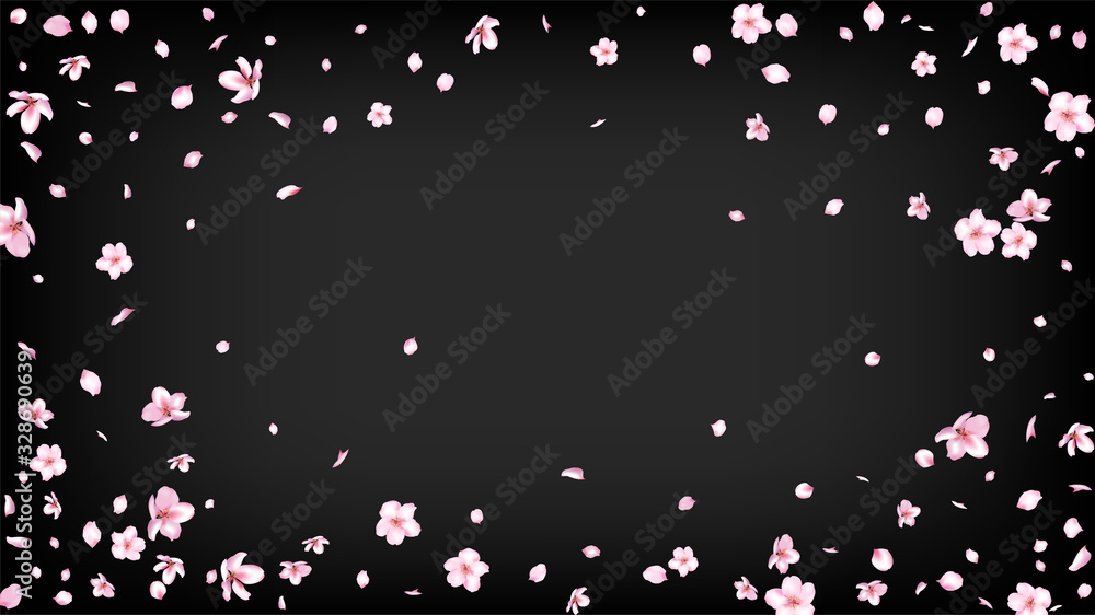 Nice Sakura Blossom Isolated Vector. Beautiful Showering 3d Petals Wedding Border. Japanese Bokeh Flowers Wallpaper. Valentine, Mother's Day Realistic Nice Sakura Blossom Isolated on Black