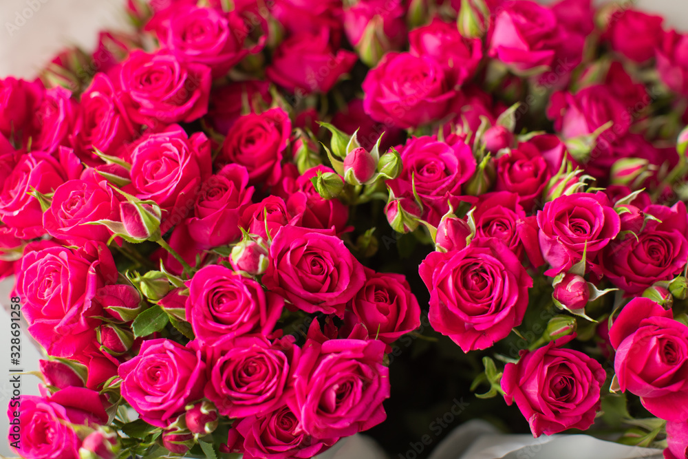 Obraz premium Close-up beautiful roses. Spring, summer, flowers, color concept. Flower delivery