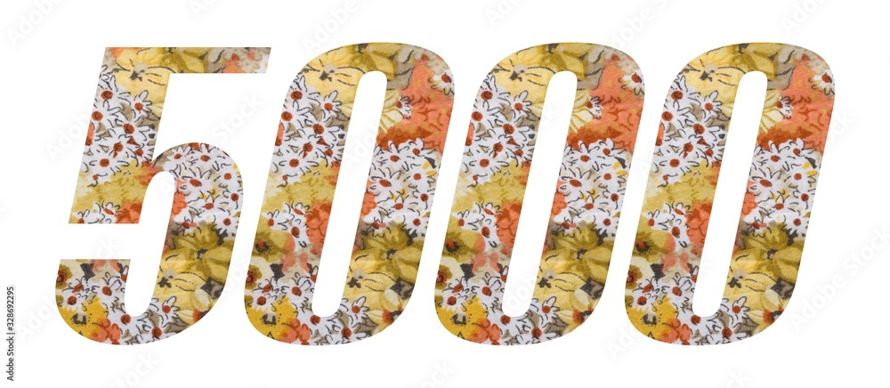 Number 5000 with flowered fabric texture on white background. Number 5000 with flowered fabric texture on white background.