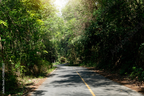Country road forest rubber tree to Ang Kep Nam Huai Hin Dat of Rayong Thailand.
