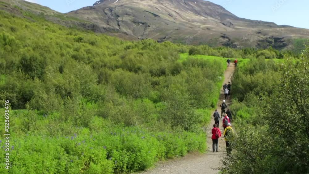 Picturesque landscape of traditional nature of Iceland. HD Footage.