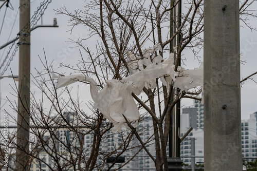 Carelessly thrown away agricultural pastic sheets landed in a tree after windy weather photo