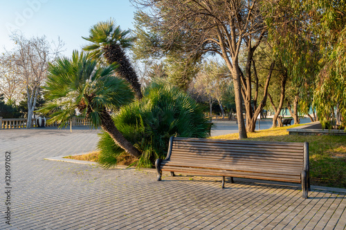 Seaside Park of the city of Baku Azerbaijan with decorative trees photo