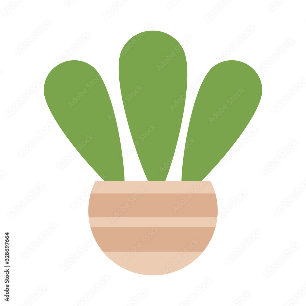 cactus with potted on white background