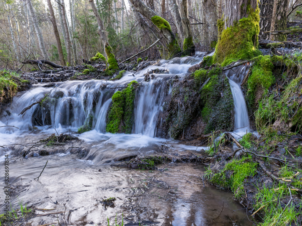 Fototapeta premium landscape with small and wild river