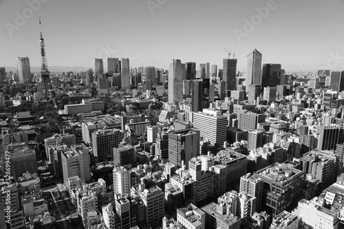 東京　2020年 景色　展望　展望台　俯瞰　遠景　昼間　快晴　青空　白黒　モノクロ photo