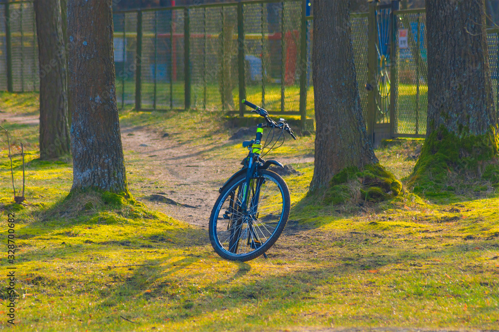 Fototapeta premium Spring, black mountain bike left between trees, sun moss grass