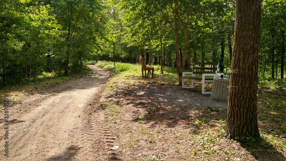Fototapeta premium path in the park