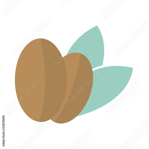 coffee seed leaves organic product tone color icon