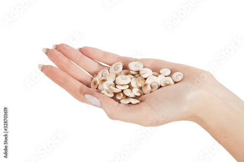 group of small shells on a female hand it is isolated on a white background