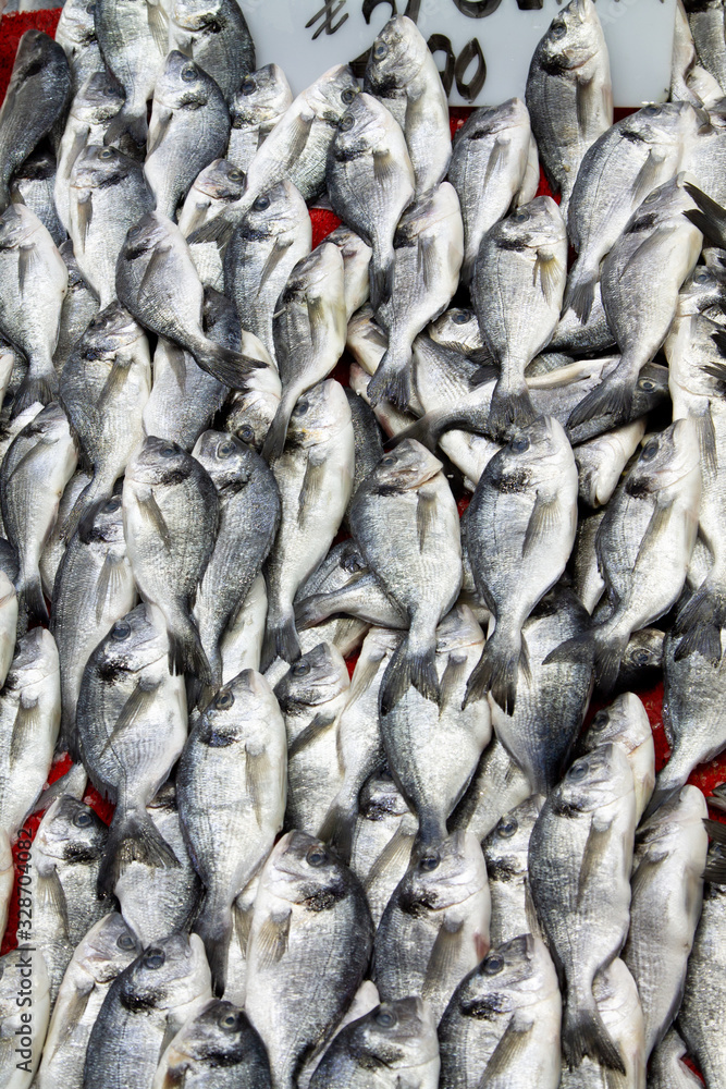 Dorada fish at a street fish market in the Turkish city of Kayseri Dorada fish at a street fish market in the Turkish city of Kayseri