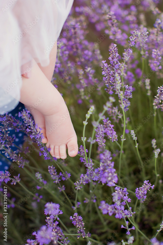 Cute baby feet and lavender Cute baby feet and lavender