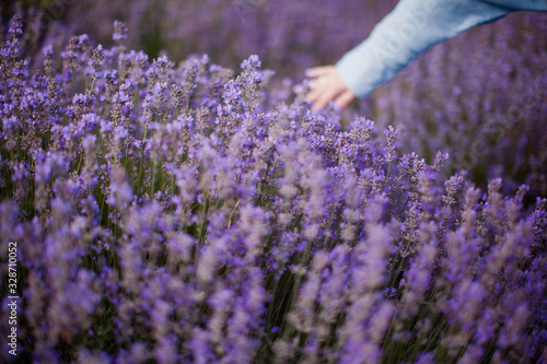 Fototapeta Naklejka Na Ścianę i Meble -  Woman in a blue dress at lavender field