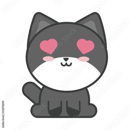 cute cat on white background, feline domestic