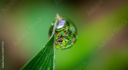 reverse macro photography