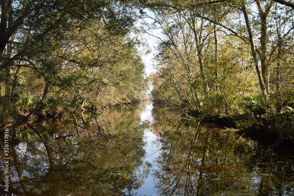 Sumpf Luisiana, USA
