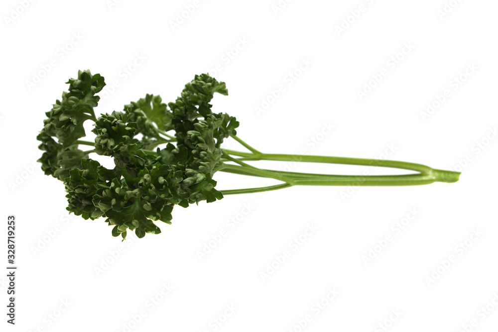 A studio photograph of a bunch of parsley A studio photograph of a bunch of parsley