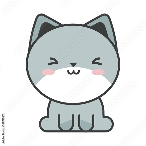 cute cat on white background, feline domestic