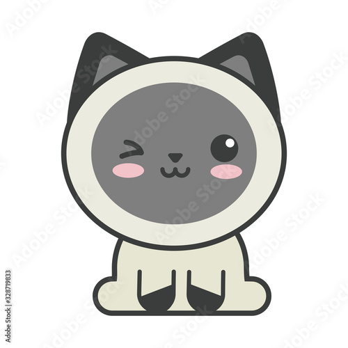 cute cat on white background, feline domestic