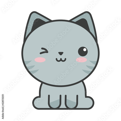 cute cat on white background, feline domestic