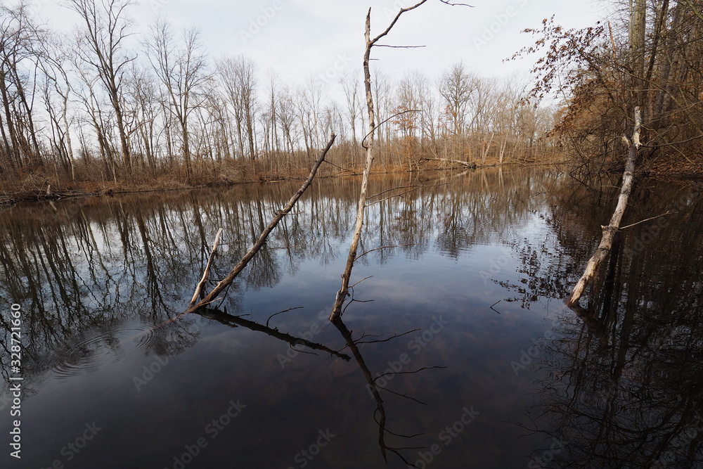 Small lake with trees reflected Small lake with trees reflected