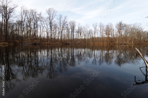 Small lake with trees reflected