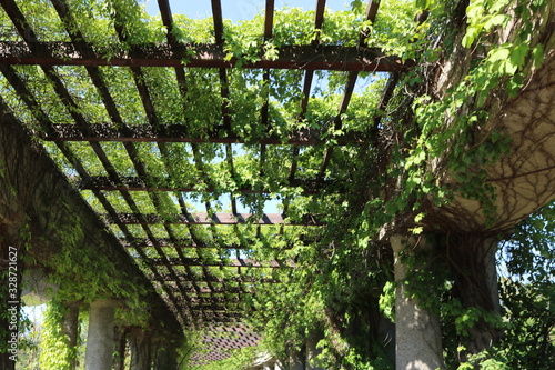 Plant celing
