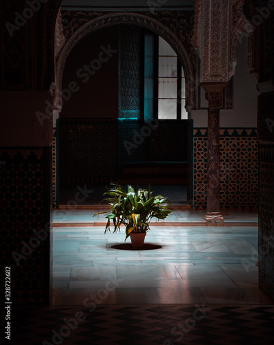 Royal Alcázar in Seville 