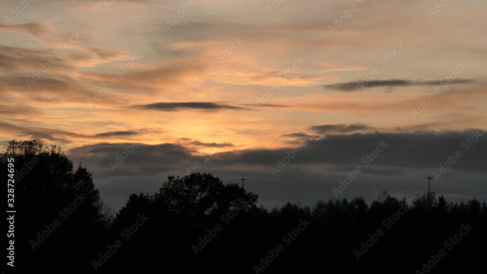 sunset sky with trees