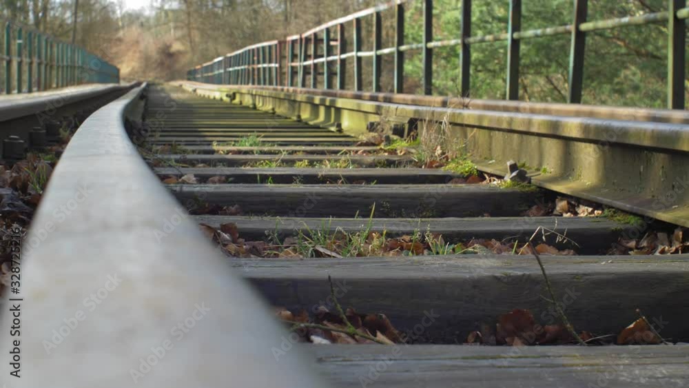 Old Rusty Steel Rails Railway in Autumn Forest on Sunny Day Old Rusty Steel Rails Railway in Autumn Forest on Sunny Day