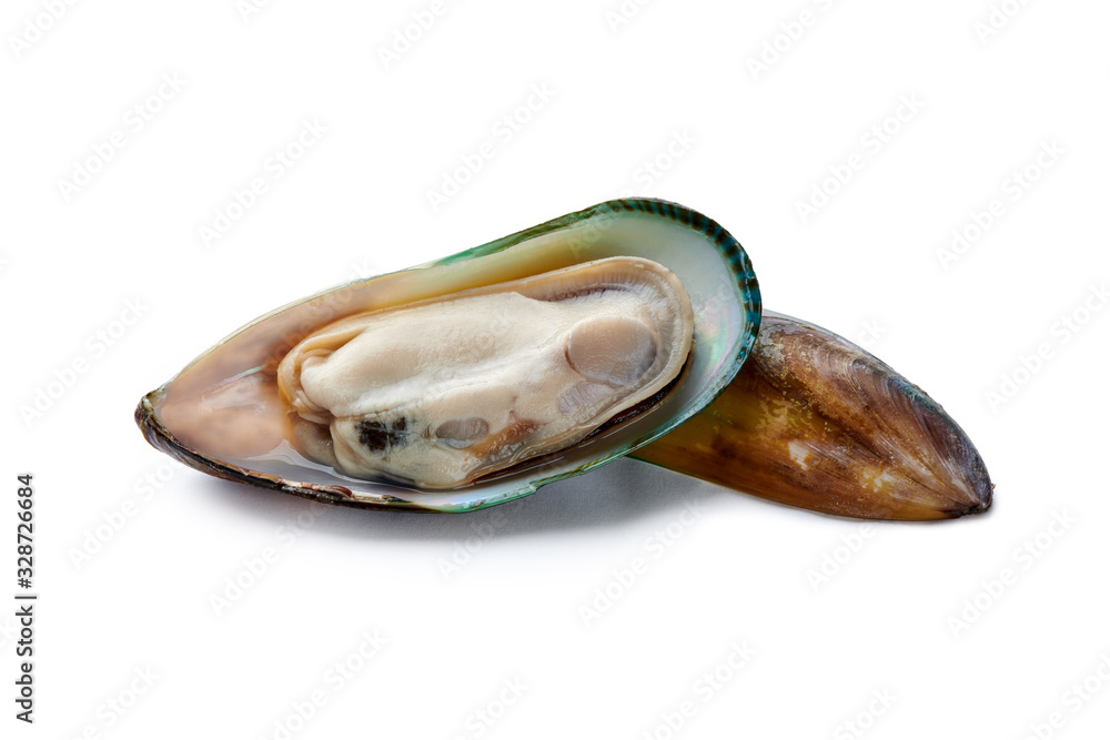 Raw opened sea clam in the shell sort of kiwi isolated on white background with shadow Raw opened sea clam in the shell sort of kiwi isolated on white background with shadow
