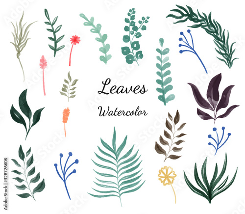 Watercolor set of various leaves and small flowers For the wedding invitation card design