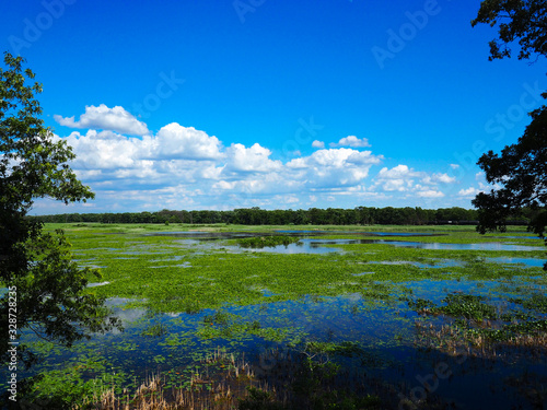 Large wetland area with blue skies
