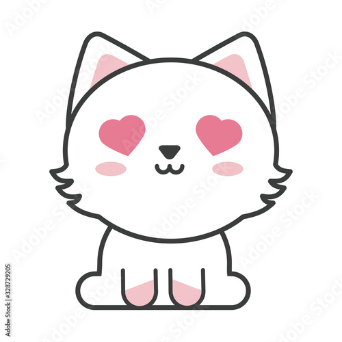 cute cat on white background, feline domestic
