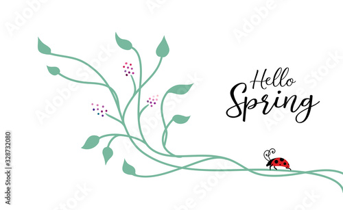 Spring background design with nature design elements of climbing ivy vines or floral design with cute lady bug on corner border, typography saying Hello Spring by ladybug