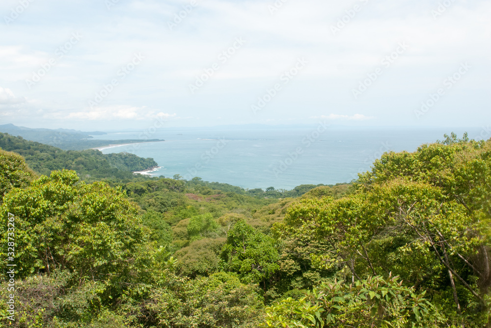 La Ballena, Uvita Beach, Tree Canopy, Escaleras, Puntarenas Province, Costa Rica