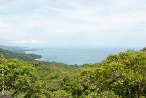 Wallpaper Mural La Ballena, Uvita Beach, Tree Canopy, Escaleras, Puntarenas Province, Costa Rica Torontodigital.ca